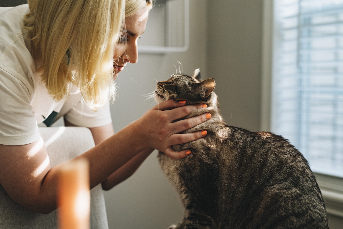 A caring owner holding a relaxed cat